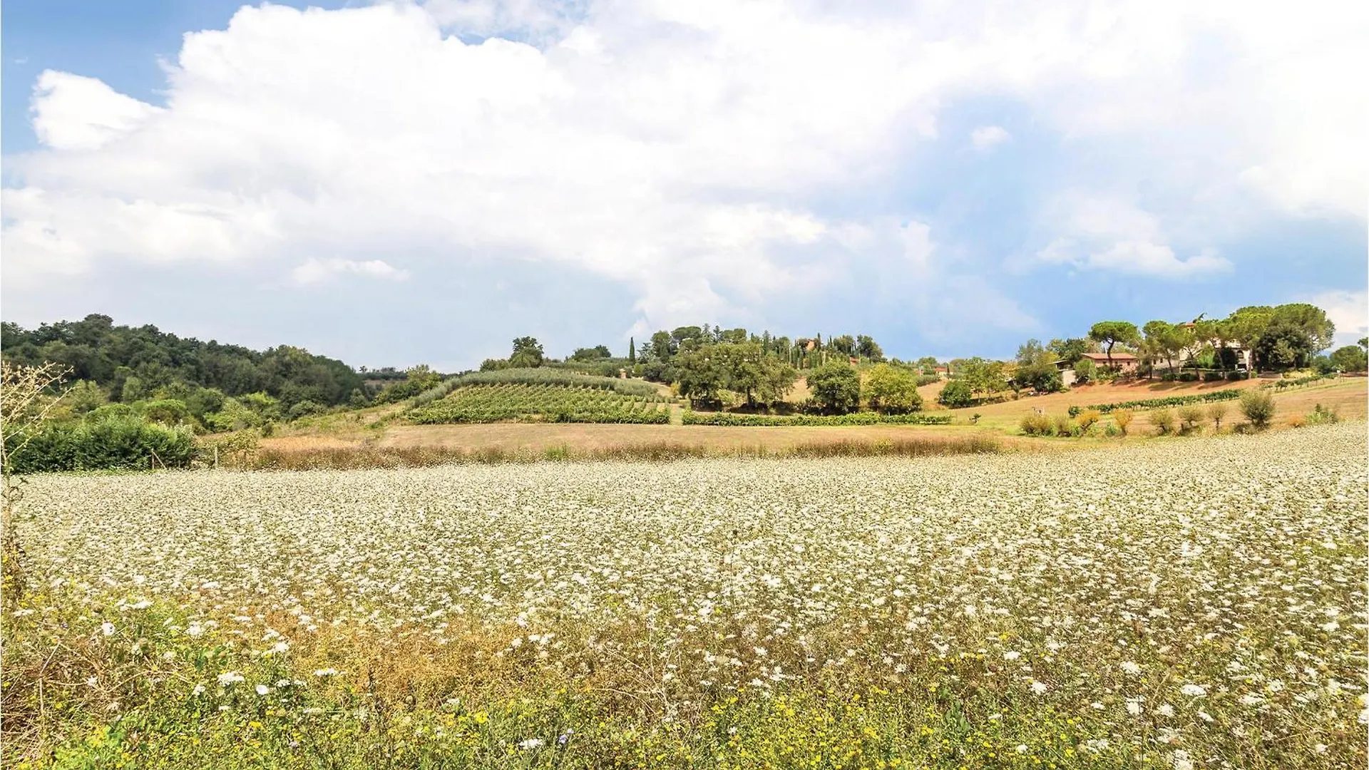 Holiday home Lovely Home In Buggiano With Kitchen Massa e Cozzile
